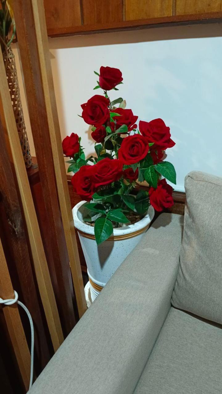 סיאם ריפ Maison Model D'Angkor מראה חיצוני תמונה